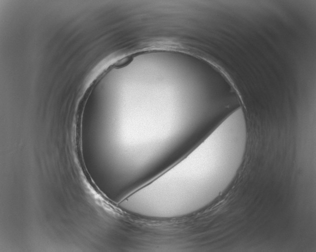 X0000078281147200611031010