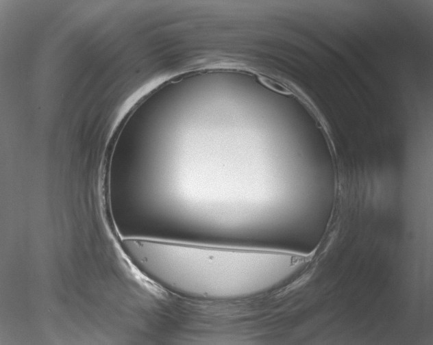 X0000078281149200611031010