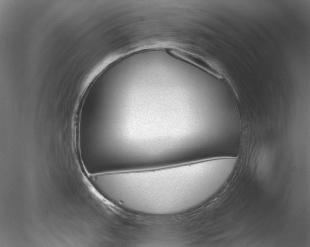 X0000078281151200611031010