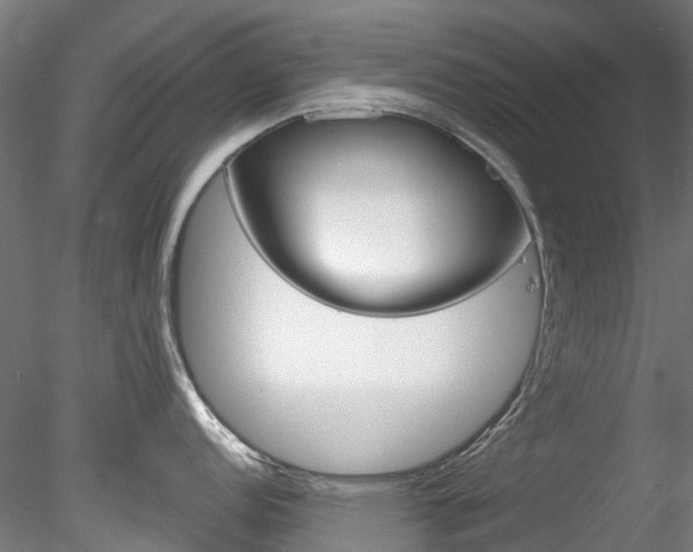 X0000078281152200611031010