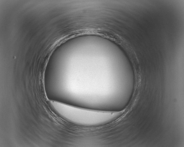 X0000078281161200611031009