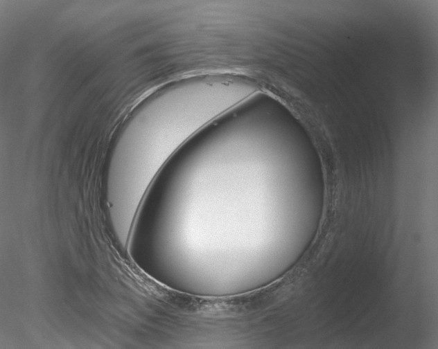 X0000078281169200611031009