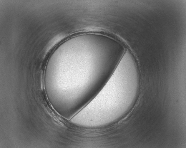 X0000078281171200611031009