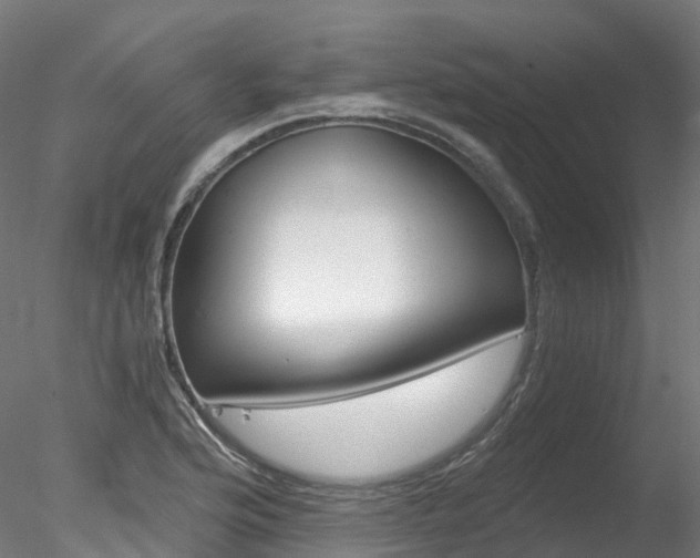 X0000078281176200611031009