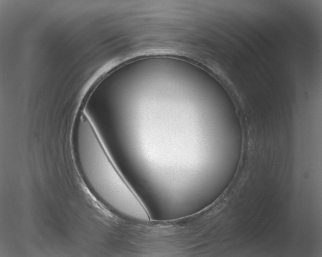 X0000078281181200611031009