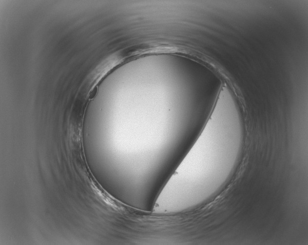 X0000078281193200611031008