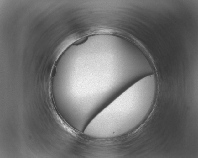 X0000078281194200611031008