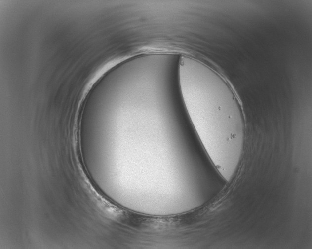 X0000078281195200611031008