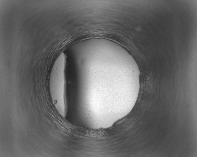 X0000078281201200611031007