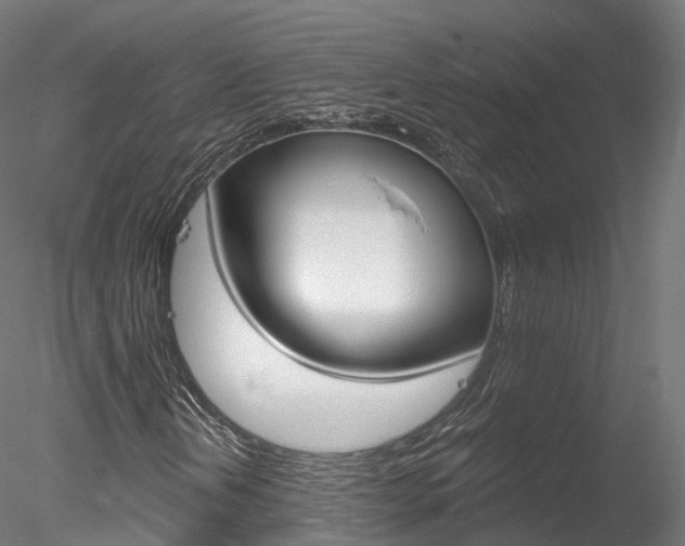 X0000078281202200611031007