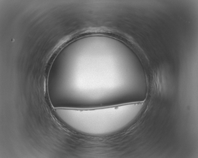 X0000078281221200611031008