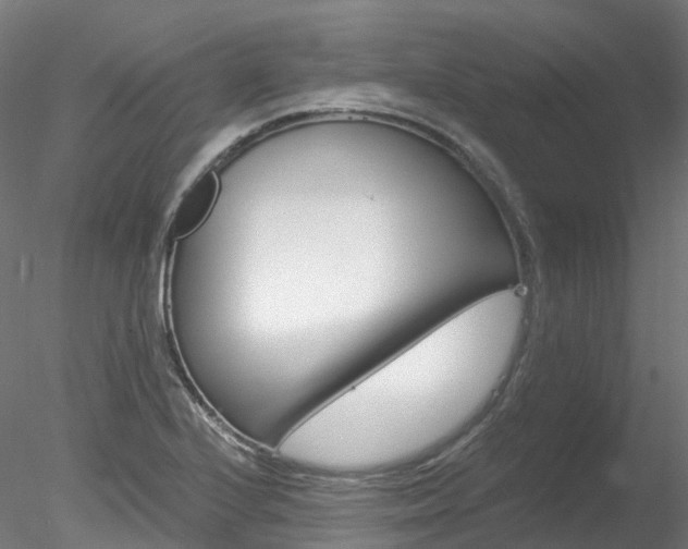 X0000078281224200611031008