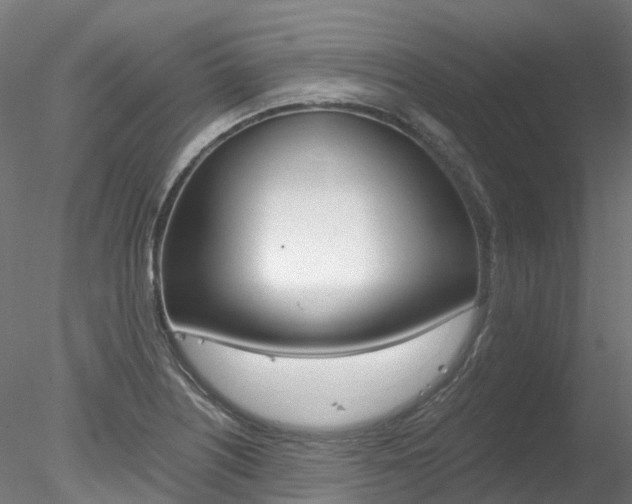 X0000078281226200611031008