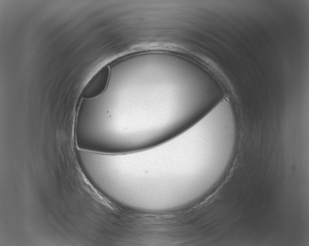X0000078281228200611031008
