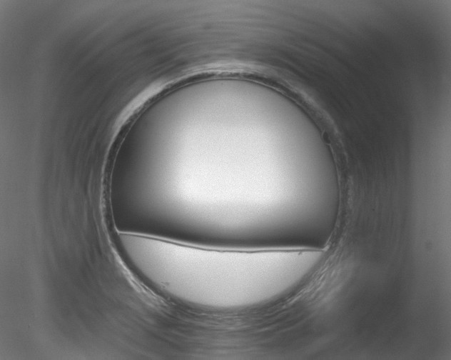 X0000078281229200611031008