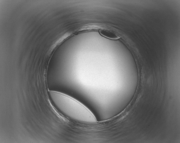 X0000078281233200611031008