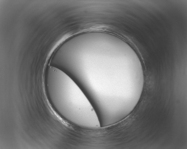 X0000078281235200611031008