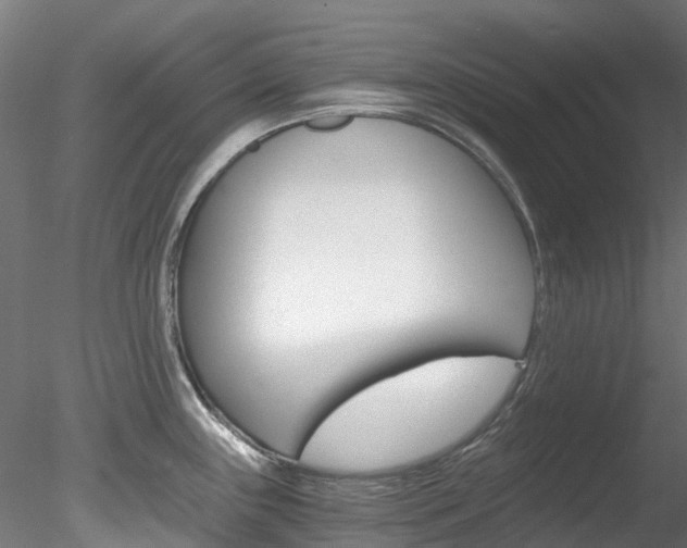 X0000078281243200611031008