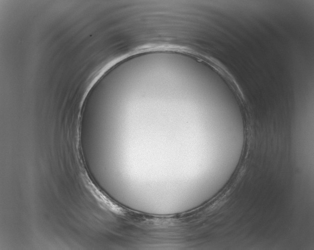 X0000078281244200611031008
