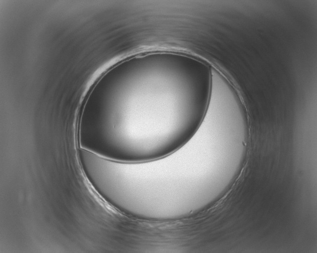 X0000078281246200611031008