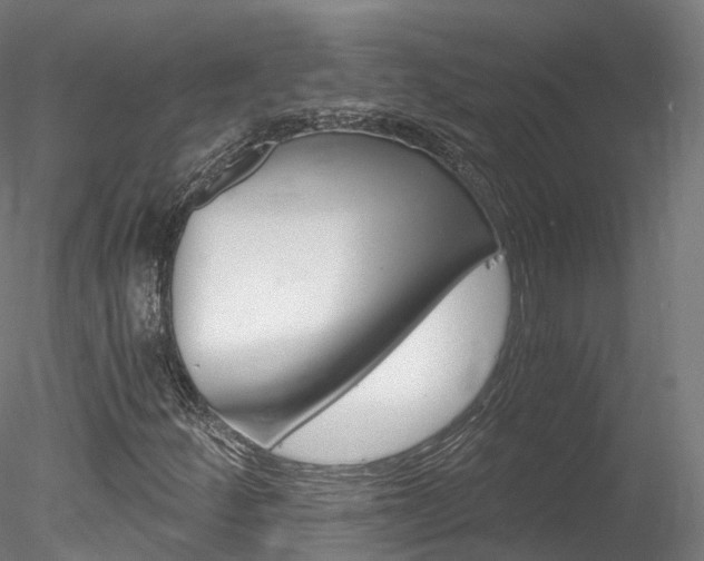 X0000078281252200611031007