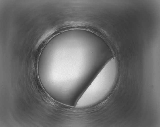 X0000078281261200611031007