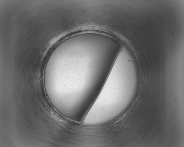 X0000078281264200611031007