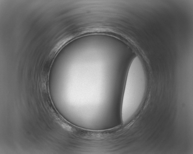 X0000078281273200611031007