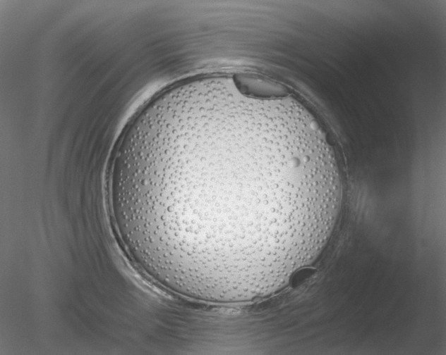 X0000078281283200611031007