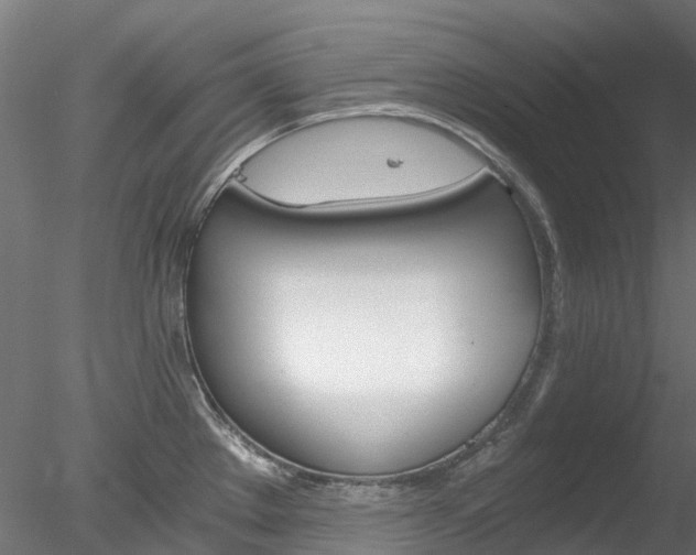 X0000078281289200611031007
