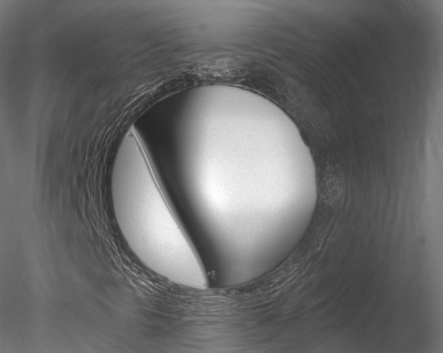 X0000078281297200611031006