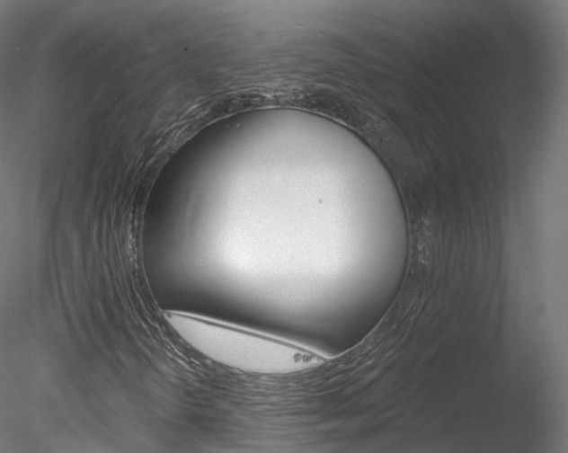 X0000078281298200611031006