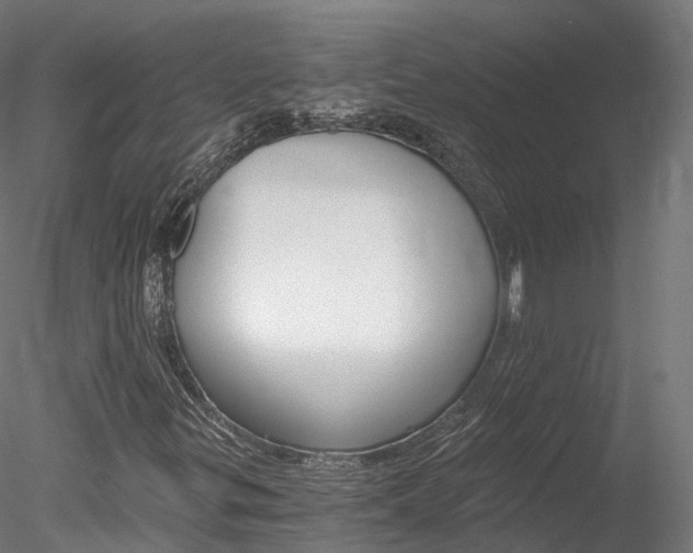 X0000078281299200611031006