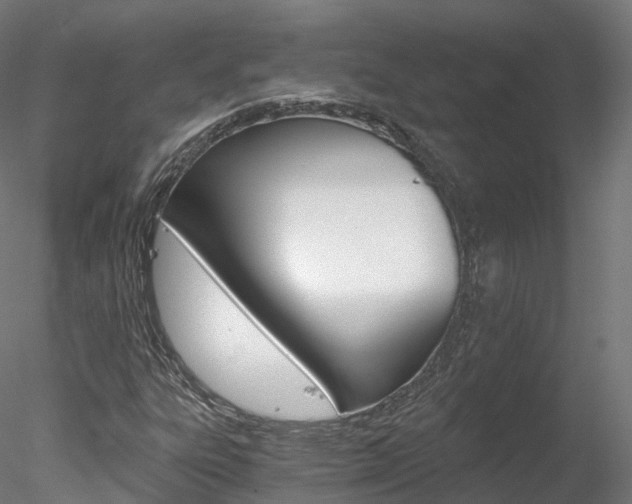 X0000078281303200611031006