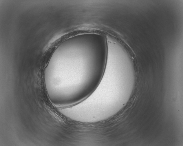 X0000078281304200611031006