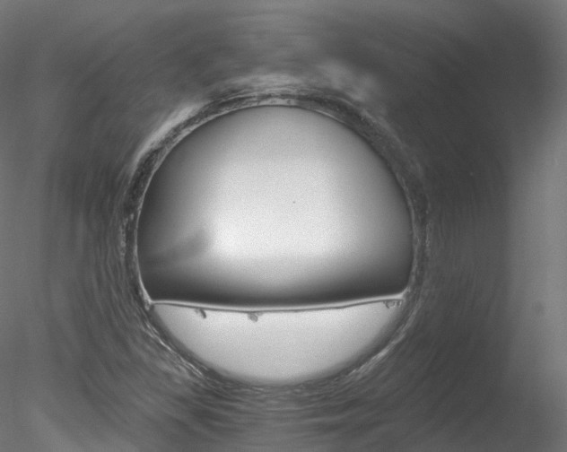 X0000078281309200611031006