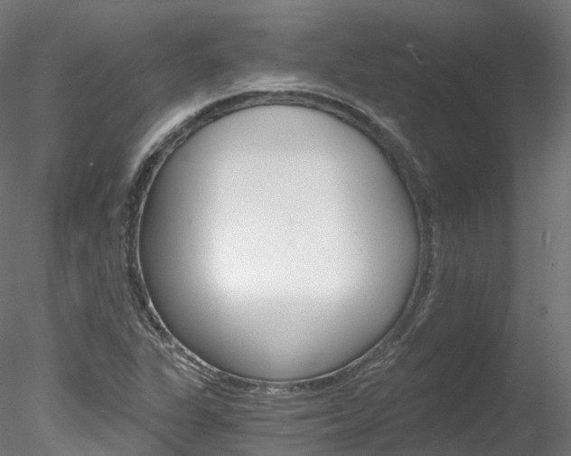 X0000078281311200611031006