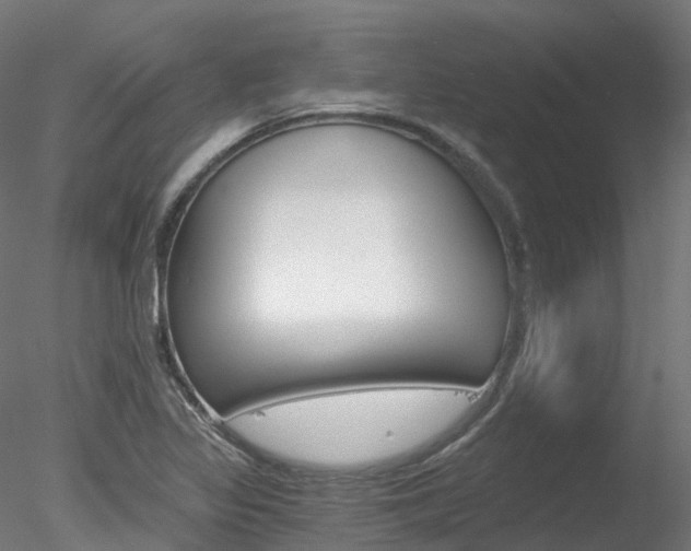 X0000078281317200611031006