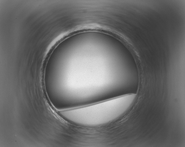X0000078281326200611031006