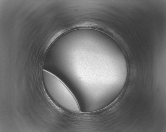 X0000078281329200611031006