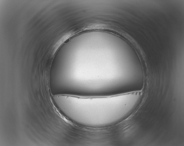 X0000078281337200611031006