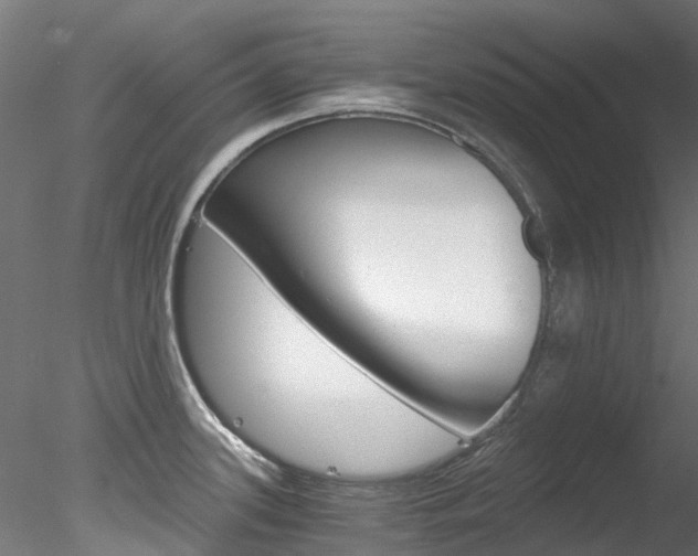 X0000078281339200611031006