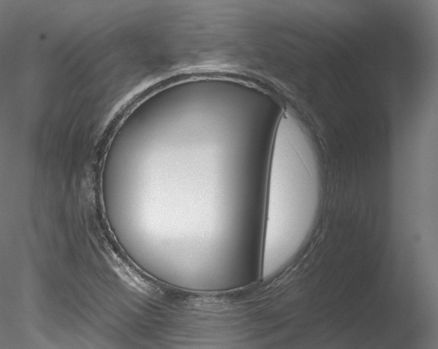 X0000078281356200611031006