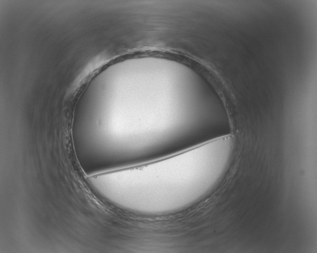 X0000078281359200611031006