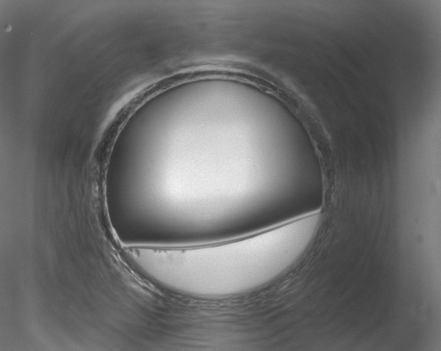 X0000078281360200611031006