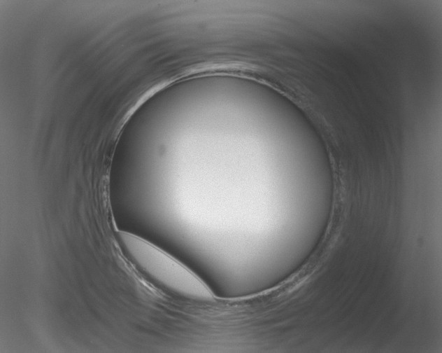 X0000078281369200611031005