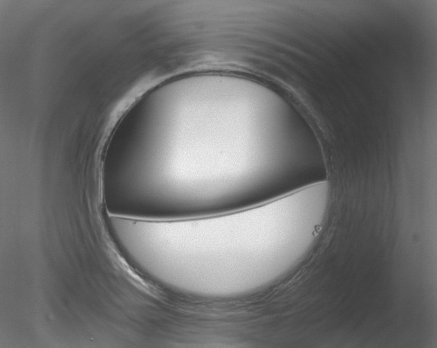 X0000078281371200611031005
