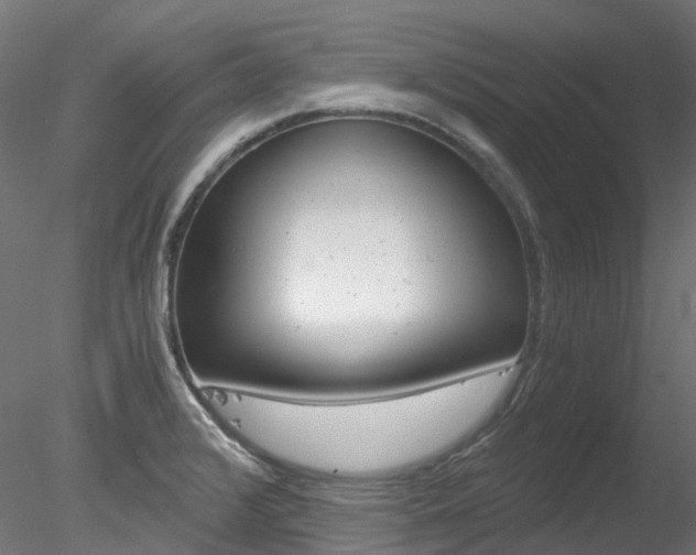 X0000078281376200611031005