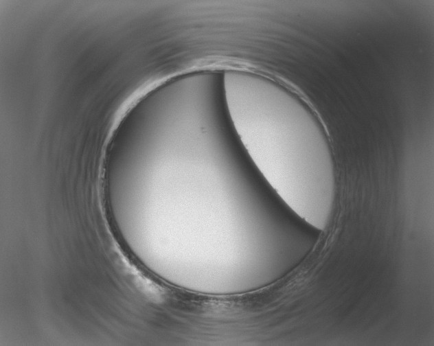 X0000078281379200611031005