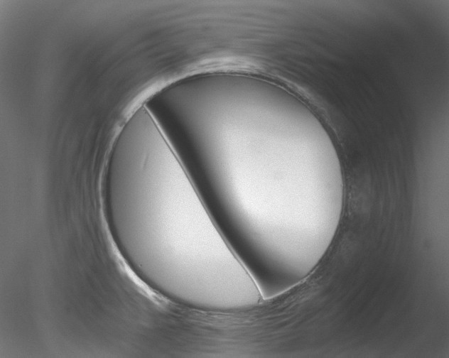 X0000078281383200611031005